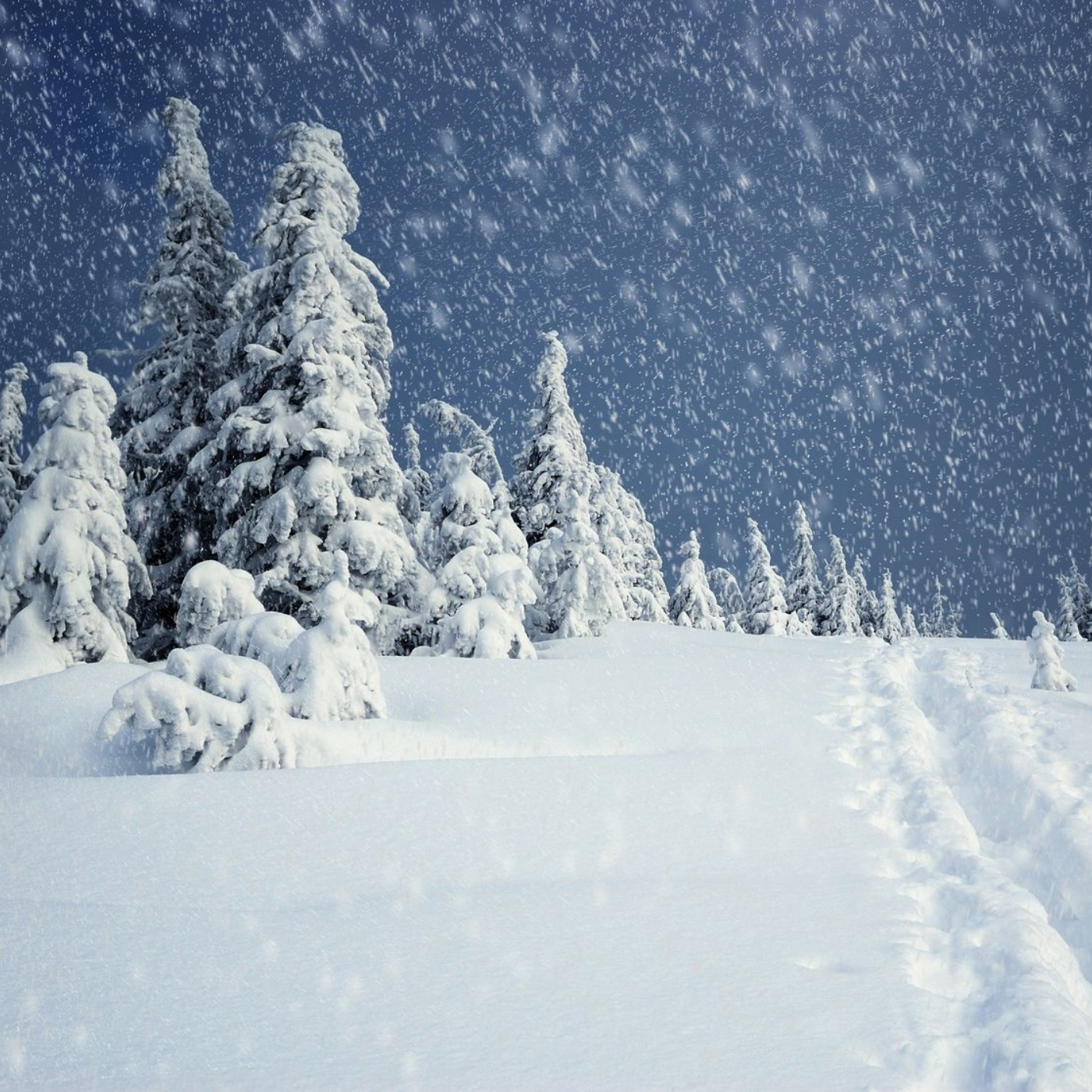 Десяточка 160